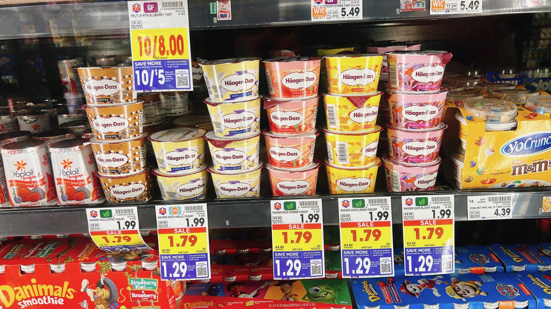 Kroger】ハーゲンダッツの新商品⁉ハーゲンダッツの“ヨーグルト”食べて