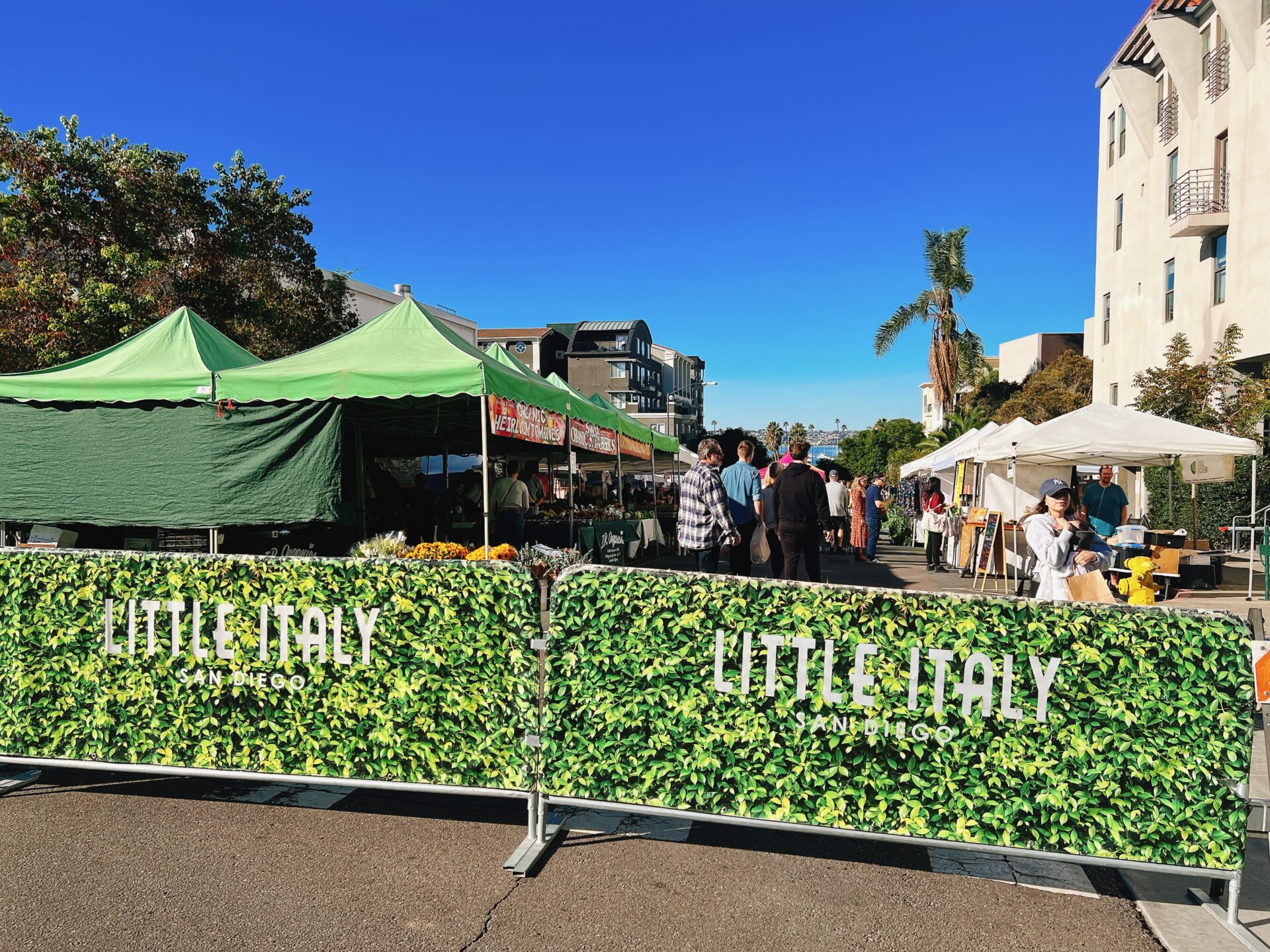 リトルイタリーのファーマーズマーケット】土曜開催の参戦がおすすめ